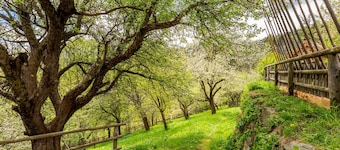 Jagahaus - Kronaushof