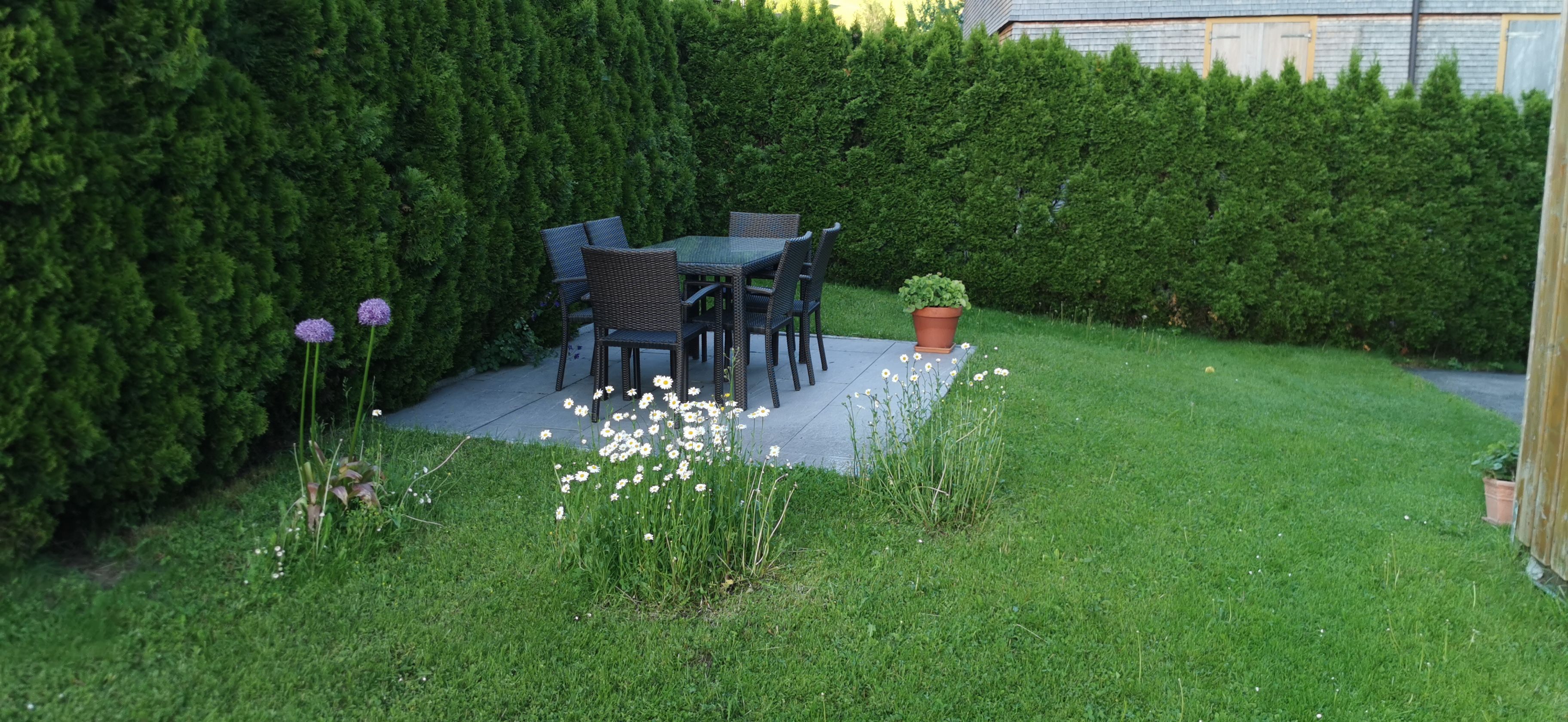 Een terras met een tafel en stoelen, omringd door een haag en een plant in pot.