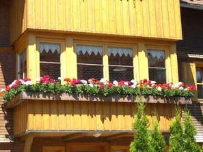 Unclassified image, 5 of 35, button