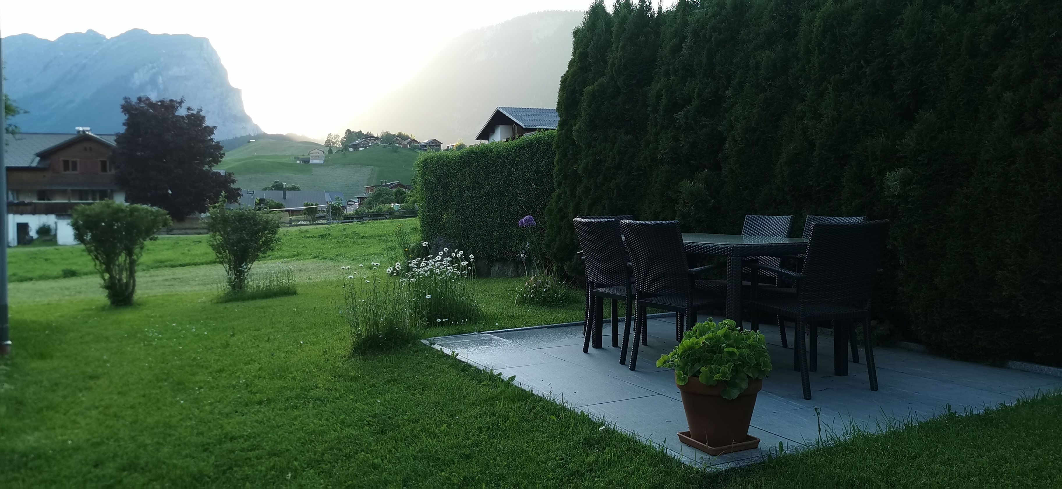 Een terras met tuinmeubilair, een potplant en een haag.
