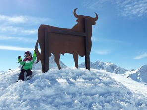 Unclassified image, 2 of 50, button