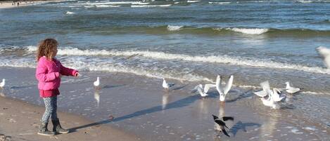 Tæt på stranden