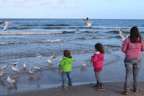 Une scène de plage avec des gens et des mouettes.