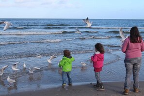 A beach scene with people and seagulls. - Whg. 4 Swamp swallow basement - Haus Feldmann (Lohme)