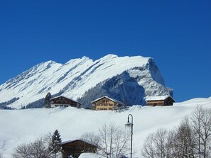 Unclassified image, 4 of 29, button