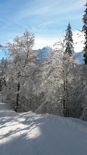 Unclassified image, 4 of 25, button