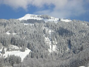 Unclassified image, 3 of 25, button