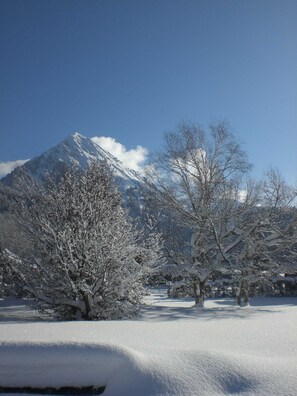 Uklassifisert bilde, 5 av 25, knapp