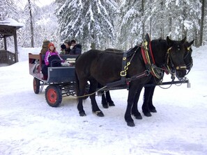 A horse-drawn carriage in a snowy setting with passengers. - Apartment 1 - Biohof Haus Wieser (Abtenau)