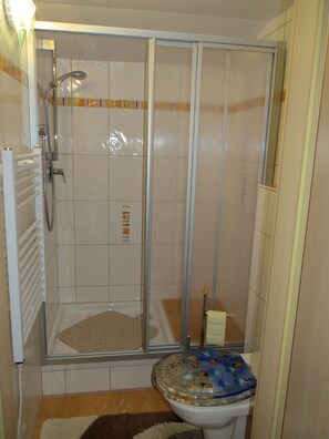 Un cerramiento de ducha con puerta de vidrio, un inodoro con tapa decorativa y un perchero para toallas.