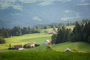 Nicht klassifiziertes Bild, 4 von 20, Schaltfläche