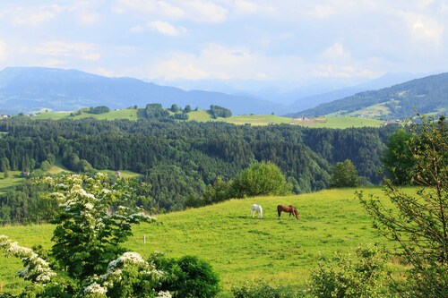 Appartement pour 2-5 personnes - Haus Erna
