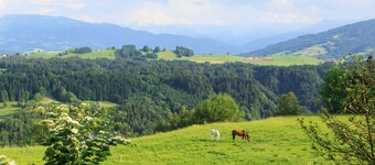 Vacation apartment for 2-5 persons - Haus Erna