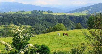 Appartement pour 2-5 personnes - Haus Erna