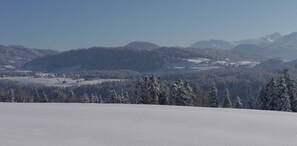 Nicht klassifiziertes Bild, 2 von 20, Schaltfläche
