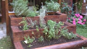 Un jardín elevado con diversas plantas y flores.
