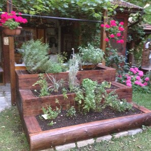 Parco della struttura