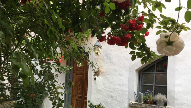 Un edificio blanco con puerta de madera y ventana con maceta de flores.