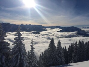 Photo non classée, 5 sur 48, bouton