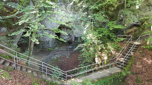 Imagen sin descripción, 1 de 42, botón