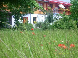 A building with a red roof, a balcony with a railing, and a garden with tall grass and red flowers. - Apartment Gold - Ferienhof Gold (Waischenfeld)