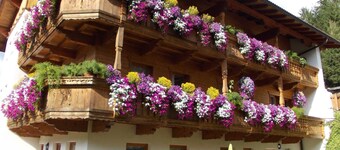 Typ C - Haus Luxer Wildschönau Auffach