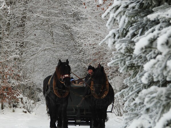 Imagen sin descripción, 1 de 34, botón