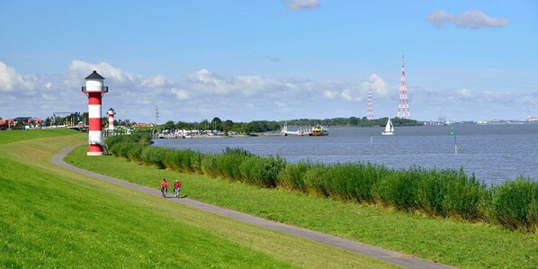 Unclassified image, 1 of 77, button