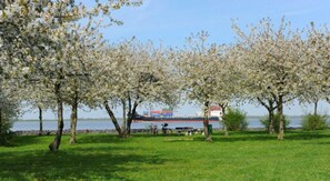 Unclassified image, 3 of 77, button