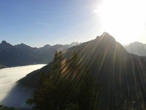 Unclassified image, 2 of 29, button