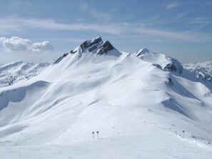 Botón de imagen sin clasificar, 4 de 45
