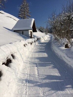 A snow-covered path leading to a building with a sloped roof, surrounded by snow-laden trees. - 3rd vacation apartment 2-4 pers. 1 - Küferhof, Matt Sven (Mellau)