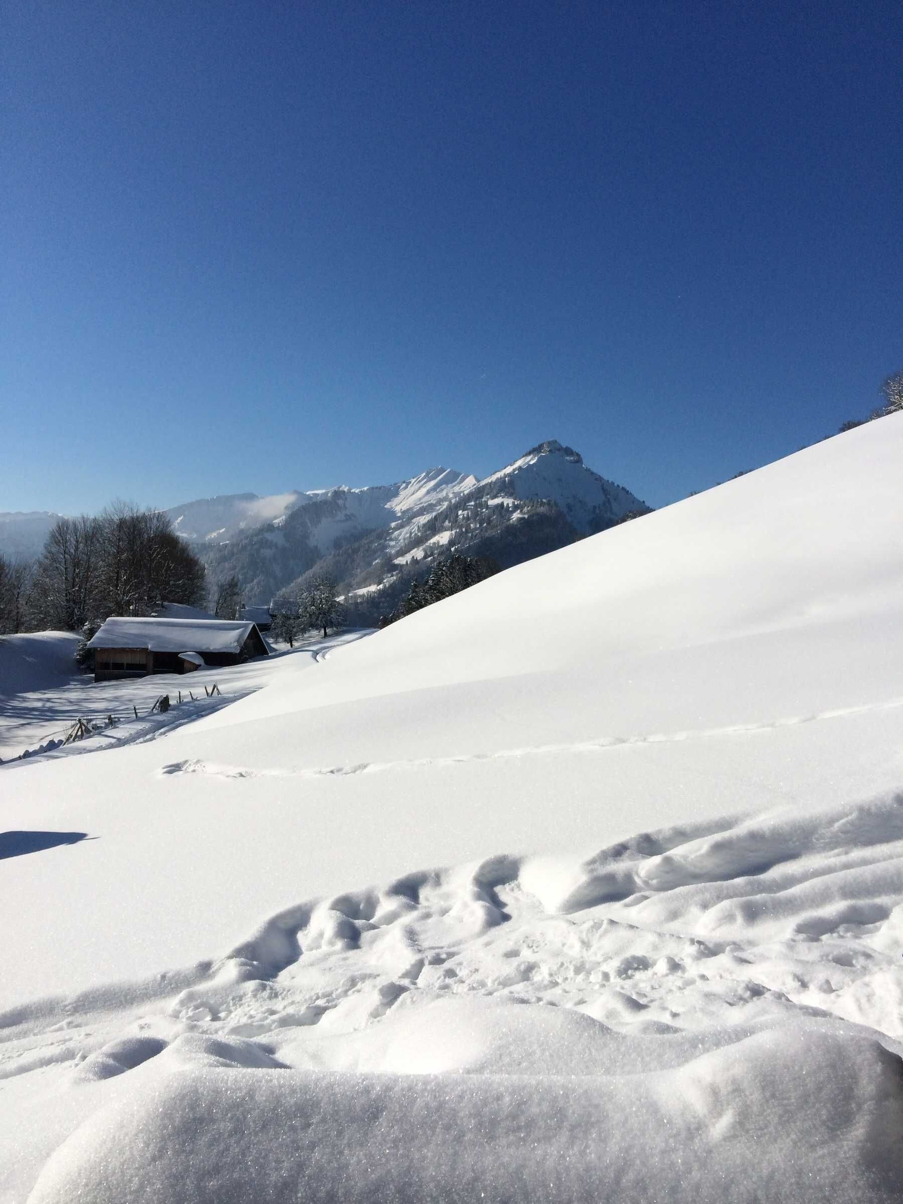 A snow-covered landscape with a mountain in the background and a building with a snow-covered roof.