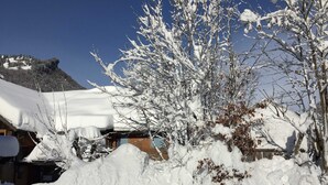 Ett snötäckt landskap med ett berg i bakgrunden, ett hus som delvis är täckt av snö och ett träd i förgrunden.