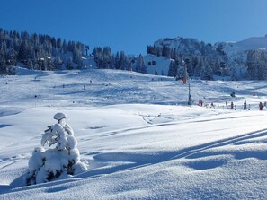 Botón de imagen sin clasificar, 5 de 45