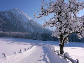 Unclassified image, 2 of 32, button