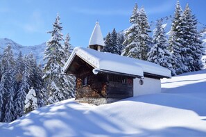 Unclassified image, 5 of 32, button