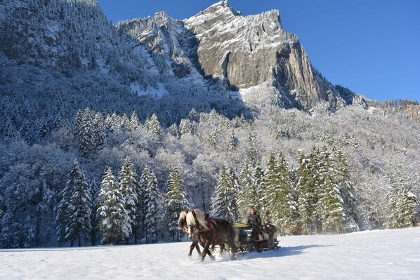 Unclassified image, 1 of 32, button