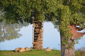 Overnatningsstedets område