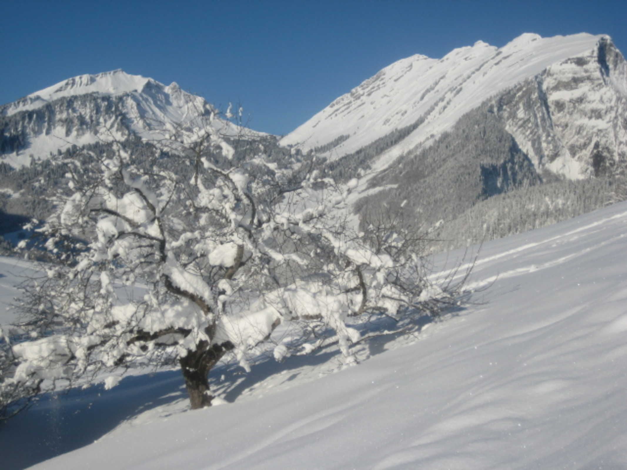 A snow-covered mountain landscape with a clear sky.