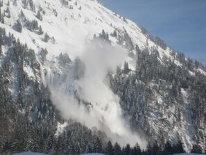 Unclassified image, 3 of 20, button