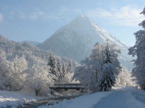 Image sans description, 5 de 20, bouton