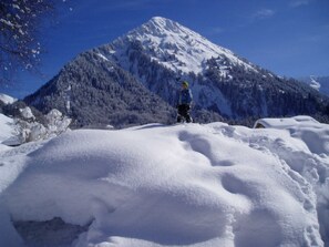 Image sans description, 2 de 20, bouton