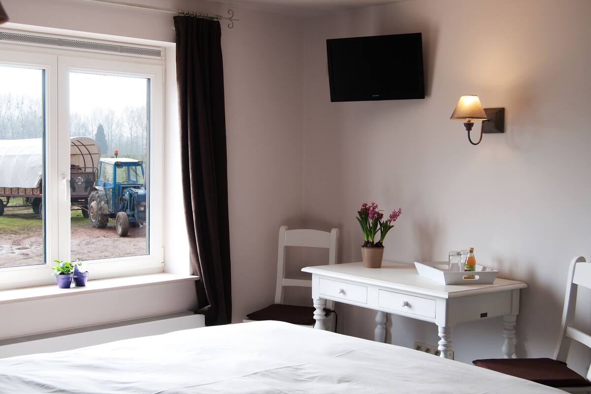 Comfort-Zimmer, 1 Queen-Bett