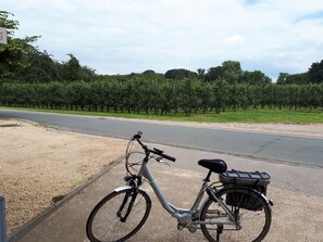 Bicycling