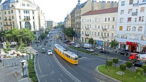 Eine Straßenbahn fährt auf einer Stadtstraße zwischen Gebäuden und Grünflächen.