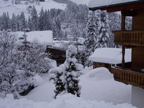 Unclassified image, 4 of 33, button