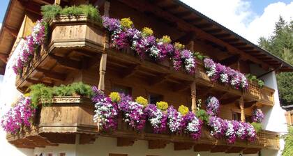 Studio apartment - House Luxer