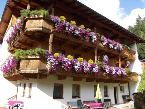 Studio apartment - House Luxer
