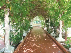 Exterior - Villa Passarelli (Castellabate)